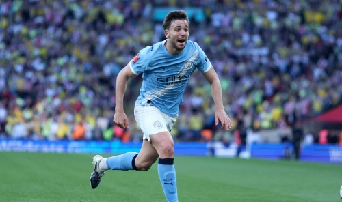 Man City Fight Back to Reach FA Cup Final