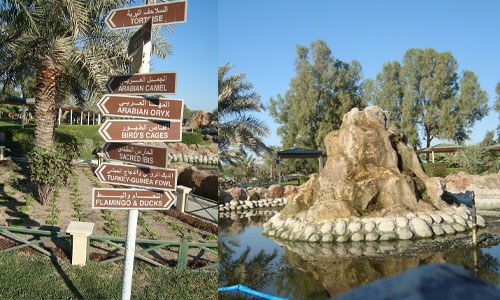 Six companies in the fray for supervising Al Areen Wildlife Park 