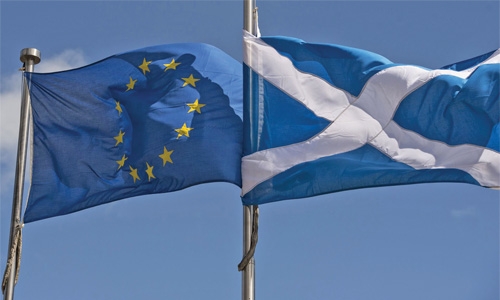 After Brexit vote, what happens next? After Brexit vote, what happens next?