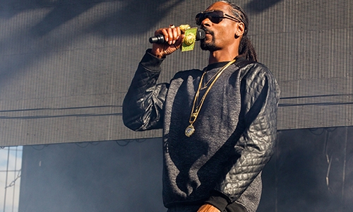 Snoop Dogg has alternate career with purpose