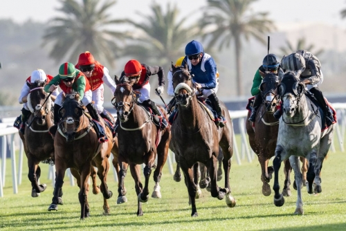 Bahrain horse racing season heats up with “Bahrain Bourse Cups” Bahrain horse racing season heats up with “Bahrain Bourse Cups”