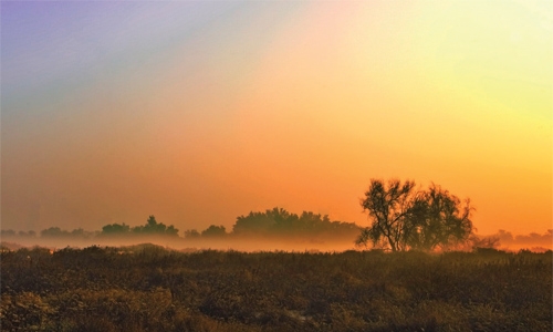 Heavy fog to continue until Monday Heavy fog to continue until Monday