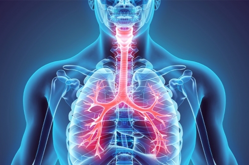 Awareness on respiratory health Awareness on respiratory health