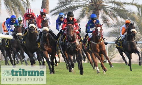 Northern Thunder wins feature race Northern Thunder wins feature race