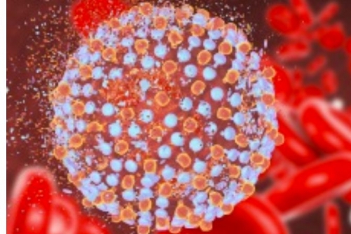 Taiwan reaches WHO Gold Tier in Hepatitis C fight 