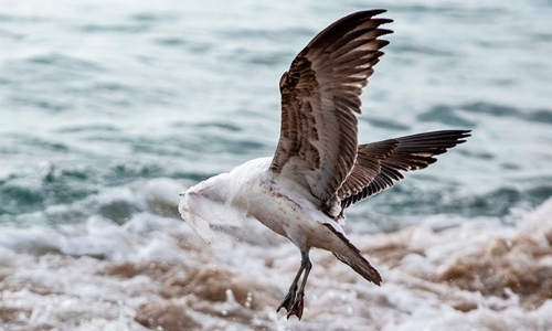 We need an urgent global response to the plague of plastic