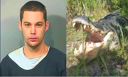 Fleeing burglar killed by alligator in Florida lake Fleeing burglar killed by alligator in Florida lake