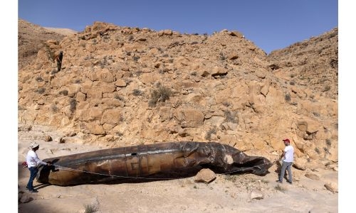 Israel rattles Lebanon with ‘offensive action’