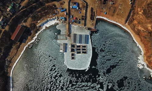 Russia fines firm running ‘whale jail’