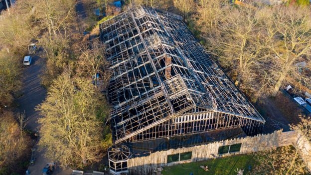 Krefeld zoo fire: German police suspect three women
