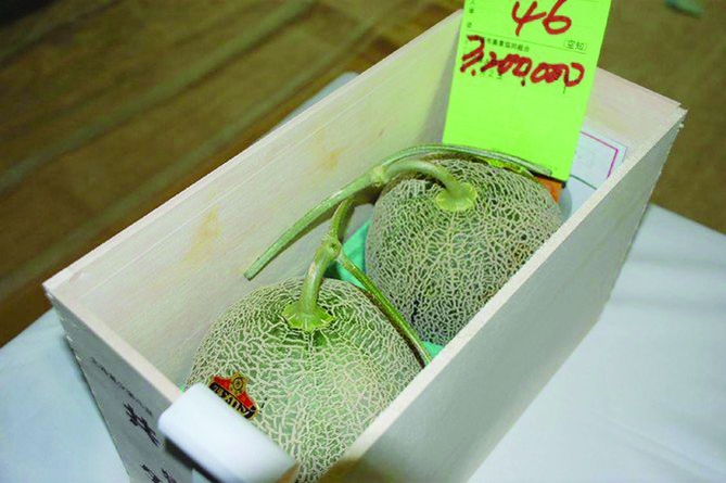 A single pair of Japanese melons can cost you a fortune