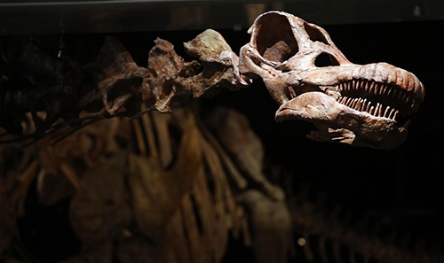 Giant 122-Foot Dinosaur Goes On Display In New York City