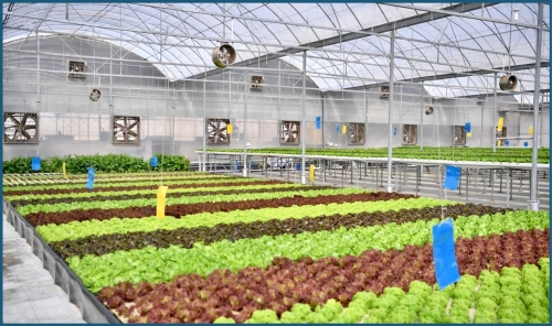 Dar Aku Project Showcases Bahrain’s Advanced Agricultural Technologies