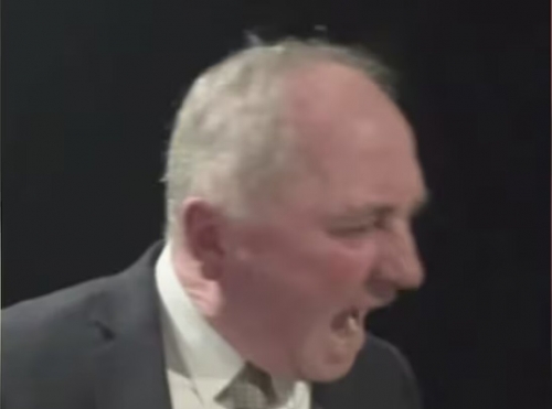 ‘Sit down!’ Dog causes chaos during Australian politician’s live TV interview ‘Sit down!’ Dog causes chaos during Australian politician’s live TV interview