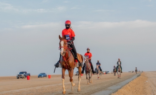 The Best Horse Condition award launched in Bahrain The Best Horse Condition award launched in Bahrain