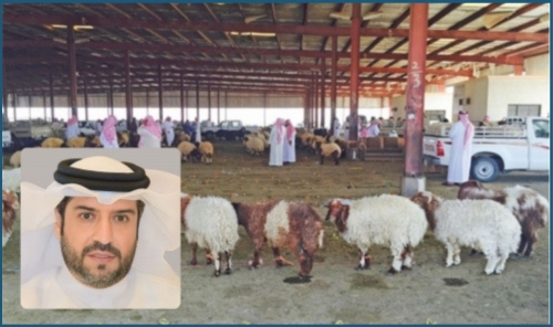 Over 22,000 Livestock Arrive in Bahrain Ahead of Ramadan