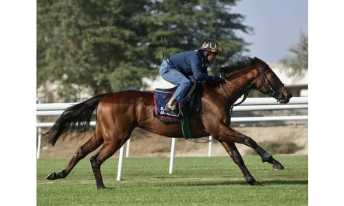 Godolphin horses headline Crown Prince’s Cup