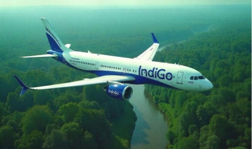 IndiGo Flight Returns to Tirupati Mid-Air After Technical Glitch, Passengers Left Stranded