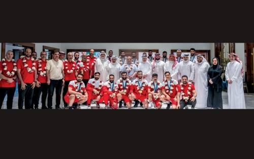 Hero's welcome for handball champions