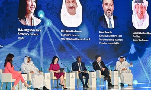 Pandemic drove regional digital evolution amidst crisis, says Nass