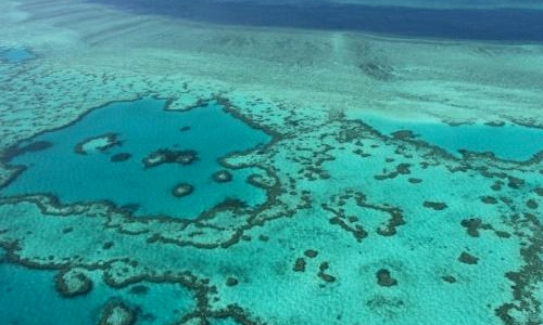 'Underwater wasteland' worries after cyclone hits Barrier Reef