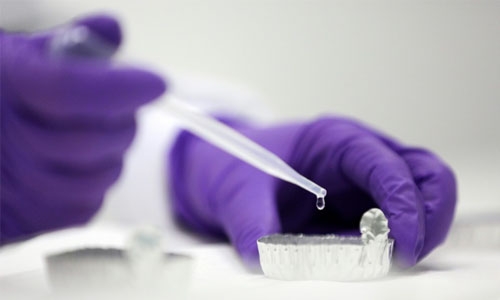 Genome editing reveals key gene for human embryo growth