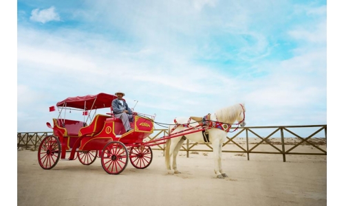 Tourists can now enjoy horse carriage ride on King Faisal Corniche