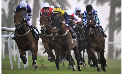 Exciting eight-race card set for today at REHC