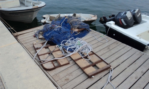 Coastguards seize 3,337 kgs of shrimps