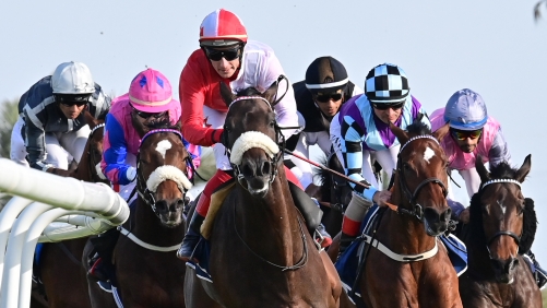 Bahrain Turf Series set for grand finale