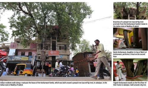 Indian family branches out with novel tree house