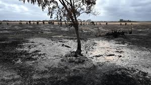 Downpours to end Australia bushfires within days Downpours to end Australia bushfires within days