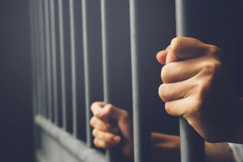 Expat Jailed Six Months for Using Forged University Degree