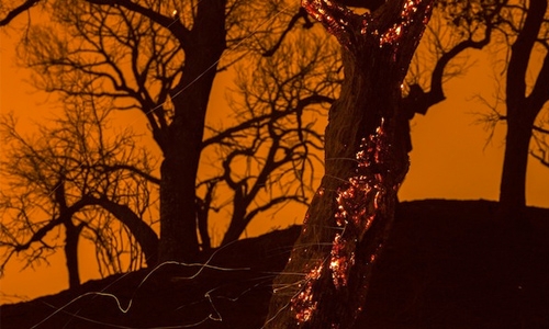 Raging wildfire engulfs California homes, film set Raging wildfire engulfs California homes, film set