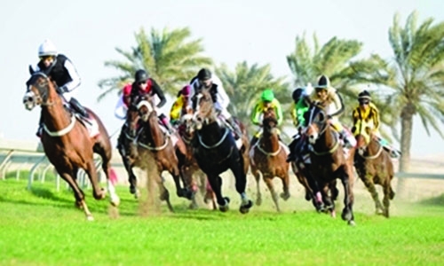 Seven Cups races today Seven Cups races today