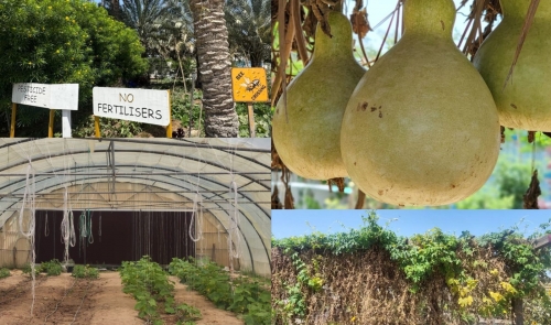 Rain, Recovery and Risk