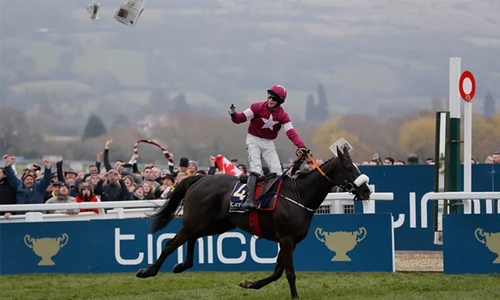 Don Cossack wins Gold Cup, Pendleton fifth in amateur race