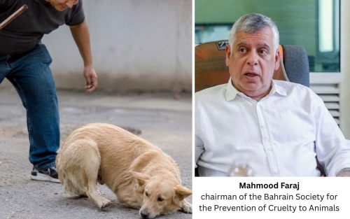 BD100,000 Fine Urged for Animal Cruelty