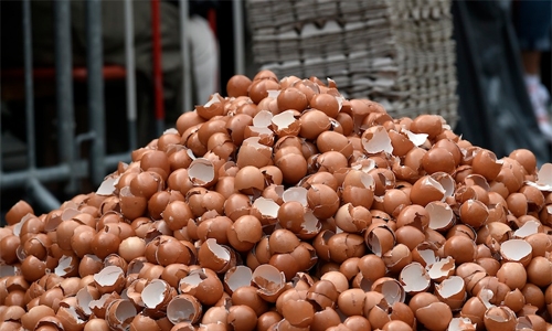 Hungary pulls tainted egg products from shelves Hungary pulls tainted egg products from shelves