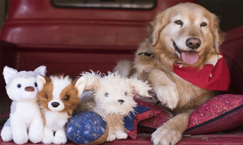 Miranda Lambert Announces New Pet Line: 5 Unique Products Dog Lovers Won't Be Able to Resist