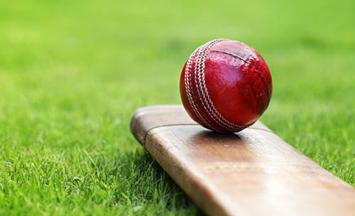 Spartans go down to Awali Camel in T20