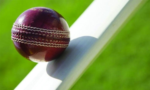 Mixed success for Chak de India in softball cricket