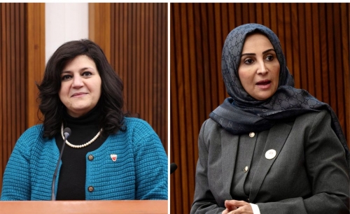 Health Council studies insurance status of non-Bahraini widows Health Council studies insurance status of non-Bahraini widows