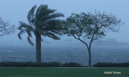 UAE allows flexible working hours in bad weather