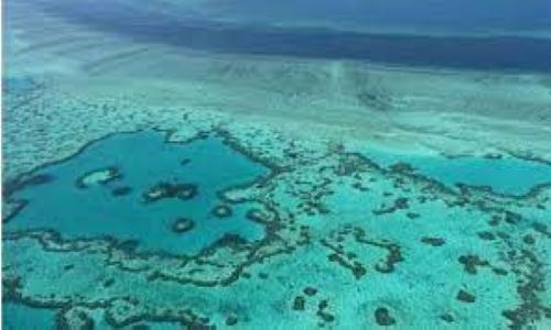 Australia to challenge UNESCO downgrade of Great Barrier Reef