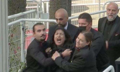 Woman strips on Cannes red carpet to protest Russian rapes in Ukraine