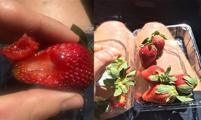 Needle found in Australian strawberries sold in New Zealand Needle found in Australian strawberries sold in New Zealand
