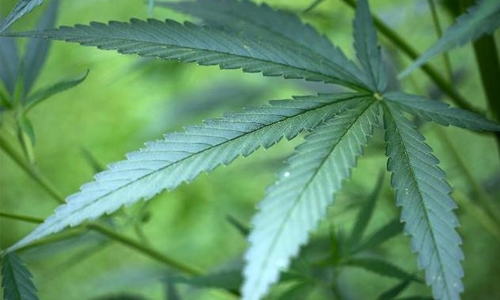 Three tonnes of cocaine seized, 12 arrested in Spain drugs bust