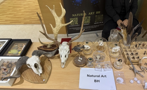 Curiosities of Preserved Animals Captivate AOU Bahrain’s National Day Crowd Curiosities of Preserved Animals Captivate AOU Bahrain’s National Day Crowd