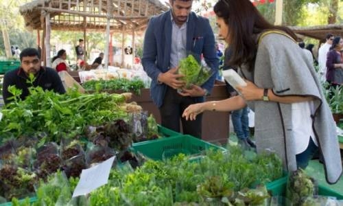 Bahraini Farmers Market resumes in December amid health precautions
